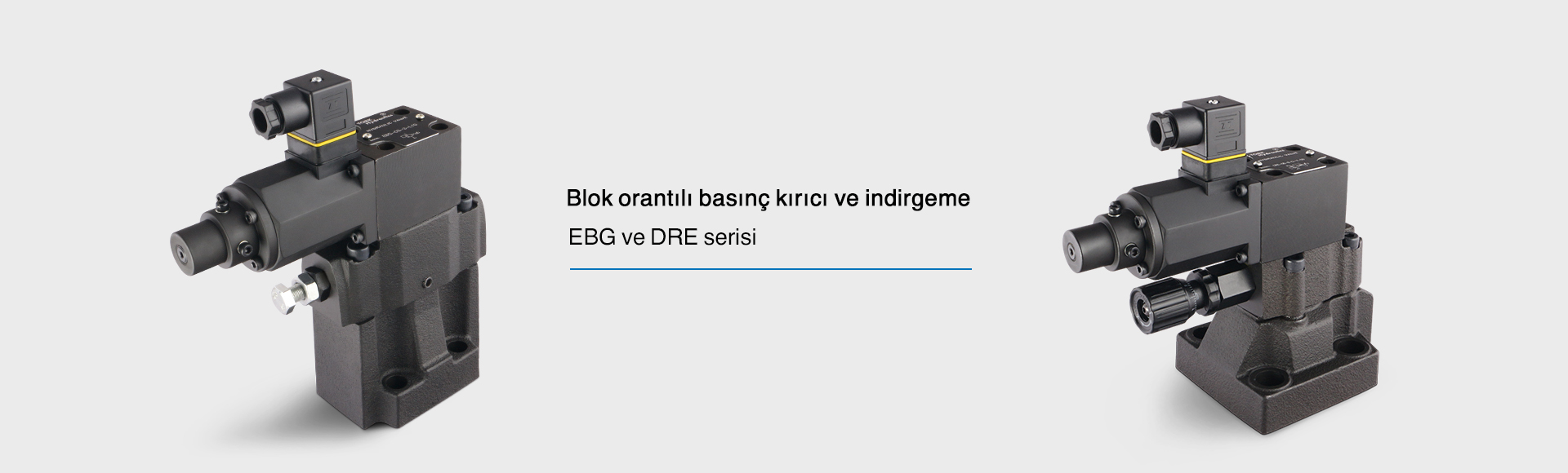 blain hidrolik hidrolik kaldırma valfi